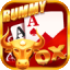 india rummy