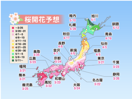 21年 鯖江市西山公園の桜やつつじの見頃はいつ 駐車場や混雑状況も紹介 ミテミルノ