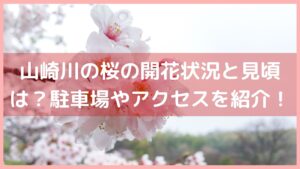 山崎川の桜の開花状況と見頃は？駐車場や最寄駅アクセスを紹介！イメージ画像