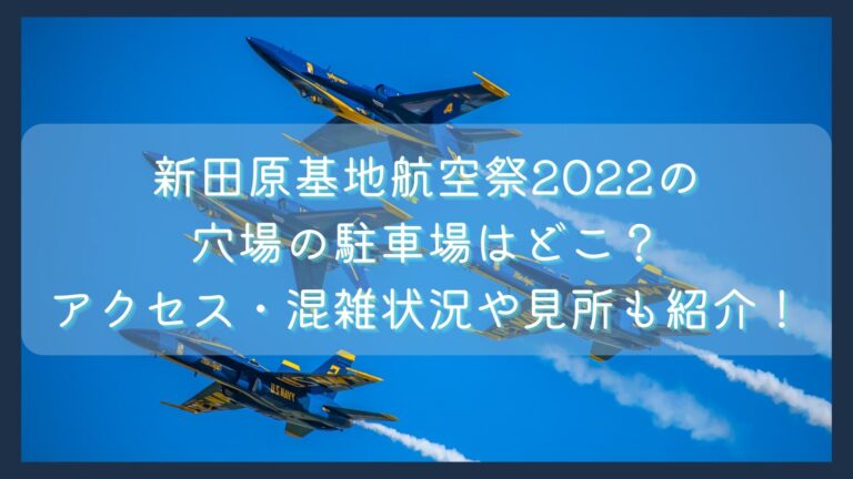 新田原基地航空祭2022の-穴場の駐車場はどこ？-アクセス・混雑状況や見所も紹介！のイメージ画像