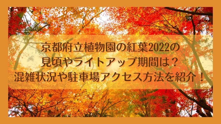 京都府立植物園の紅葉2022の-見頃やライトアップ期間は？-混雑状況や駐車場アクセス方法を紹介！のイメージ画像